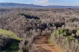 251 Rousseau Farm Rd, Wilkesboro, NC 28697 - Photo 15