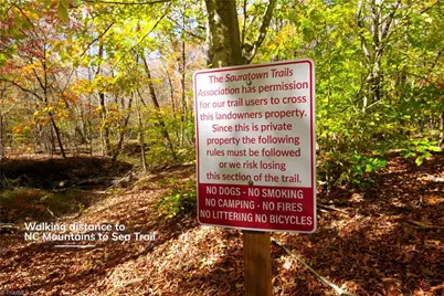 4 Old Mill Road, Pinnacle, NC 27043 - Photo 13