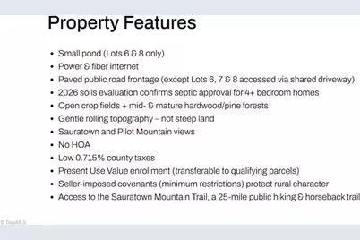 4 Old Mill Road, Pinnacle, NC 27043 - Photo 19