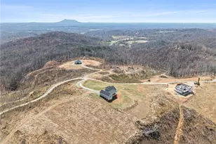 282 Howell Rd, Pilot Mountain, NC 27041 - Photo 47