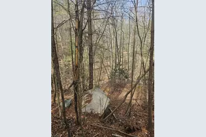 Lot 2 Widow Mountain Drive, McGrady, NC 28635 - Photo 15