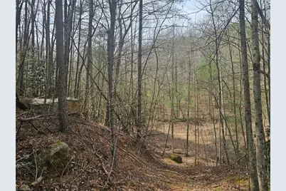 Lot 2 Widow Mountain Drive, McGrady, NC 28635 - Photo 21