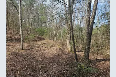 Lot 2 Widow Mountain Drive, McGrady, NC 28635 - Photo 19