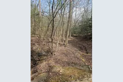 Lot 2 Widow Mountain Drive, McGrady, NC 28635 - Photo 19