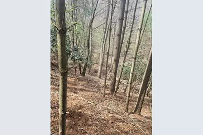 Lot 2 Widow Mountain Drive, McGrady, NC 28635 - Photo 23