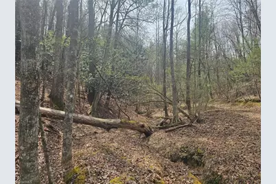 Lot 2 Widow Mountain Drive, McGrady, NC 28635 - Photo 17