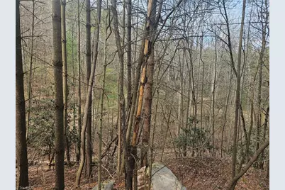 Lot 2 Widow Mountain Drive, McGrady, NC 28635 - Photo 13