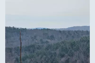 Lot 2 Widow Mountain Drive, McGrady, NC 28635 - Photo 3