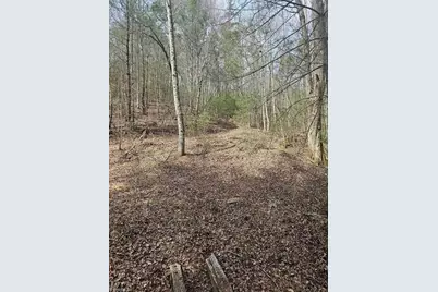 Lot 2 Widow Mountain Drive, McGrady, NC 28635 - Photo 25