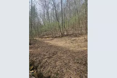 Lot 2 Widow Mountain Drive, McGrady, NC 28635 - Photo 27