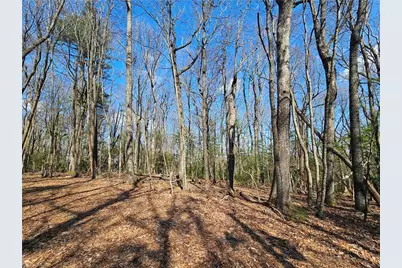 Tbd Mt. Retreat Road, Roaring Gap, NC 28668 - Photo 9
