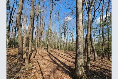 Tbd Mt. Retreat Road, Roaring Gap, NC 28668 - Photo 15