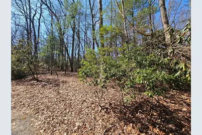 Tbd Mt. Retreat Road, Roaring Gap, NC 28668 - Photo 3