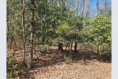 Tbd Mt. Retreat Road, Roaring Gap, NC 28668 - Photo 1