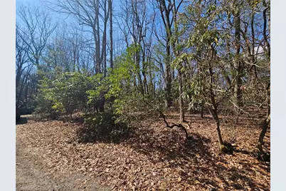 Tbd Mt. Retreat Road, Roaring Gap, NC 28668 - Photo 5