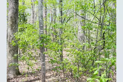 599 Cornatzer Road, Mocksville, NC 27028 - Photo 5