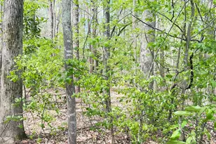 599 Cornatzer Rd, Mocksville, NC 27028 - Photo 5