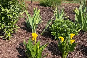 216 Parks Meadows Dr, Lexington, NC 27292 - Photo 21