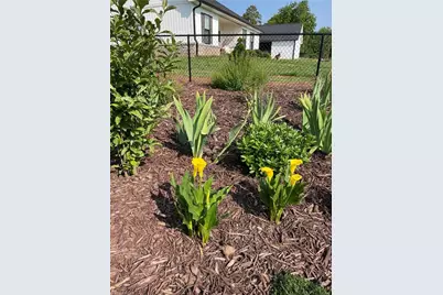 216 Parks Meadows Drive, Lexington, NC 27292 - Photo 9