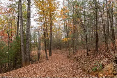 Tbd US Highway 421, Ferguson, NC 28624 - Photo 21
