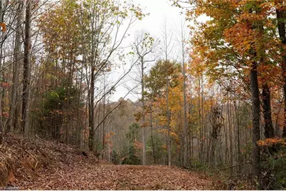 Tbd US Highway 421, Ferguson, NC 28624 - Photo 19