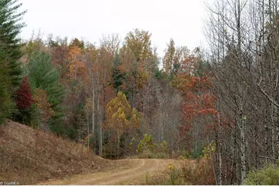 Tbd US Highway 421, Ferguson, NC 28624 - Photo 7