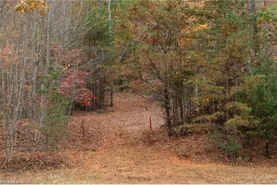 Tbd US Highway 421, Ferguson, NC 28624 - Photo 9