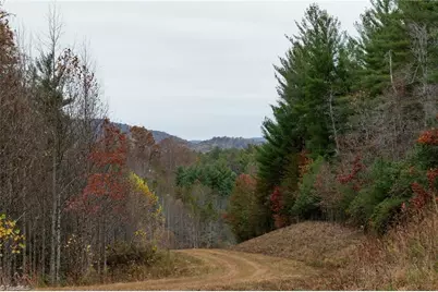 Tbd US Highway 421, Ferguson, NC 28624 - Photo 15