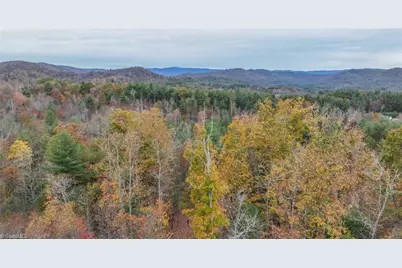 Tbd US Highway 421, Ferguson, NC 28624 - Photo 1