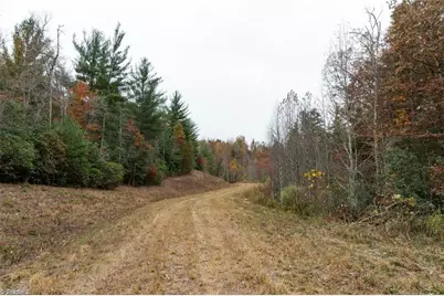 Tbd US Highway 421, Ferguson, NC 28624 - Photo 5