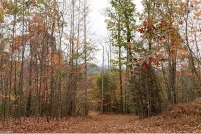 Tbd US Highway 421, Ferguson, NC 28624 - Photo 31