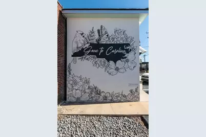 3562 Spring Hope Court, Kernersville, NC 27284 - Photo 21