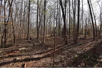 6799 Bronco Lane, Summerfield, NC 27358 - Photo 7