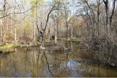 6799 Bronco Lane, Summerfield, NC 27358 - Photo 19