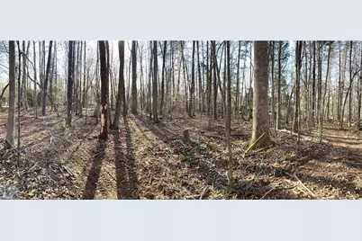 6799 Bronco Lane, Summerfield, NC 27358 - Photo 11