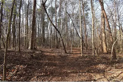 6799 Bronco Lane, Summerfield, NC 27358 - Photo 9