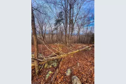 2243 Sierra Trace Road, Denton, NC 27239 - Photo 3