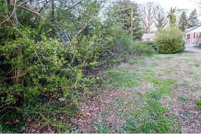0 N Cameron Avenue, Winston-Salem, NC 27101 - Photo 3