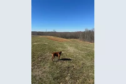 8451 Witty Road, Summerfield, NC 27358 - Photo 3