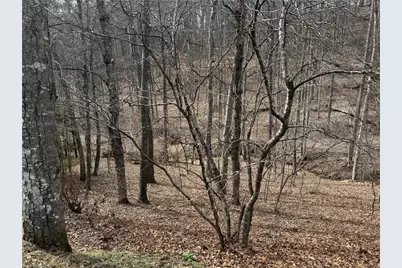 45 Happy Ridge Road, Piney Creek, NC 28631 - Photo 11