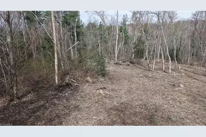 00 McKinley Road, Roaring River, NC 28669 - Photo 25