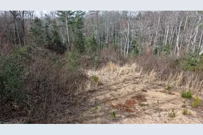 00 McKinley Road, Roaring River, NC 28669 - Photo 9