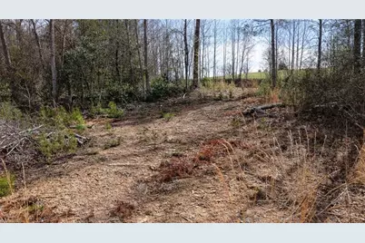 00 McKinley Road, Roaring River, NC 28669 - Photo 5