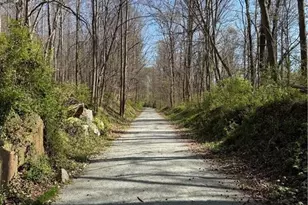 518 E Main St, Franklinville, NC 27248 - Photo 47