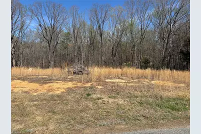 3623 Greystone Drive, Wallburg, NC 27107 - Photo 3