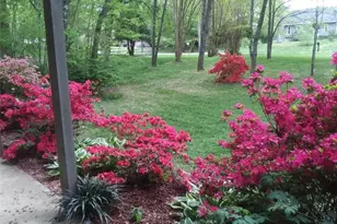 154 Wills Rd, Advance, NC 27006 - Photo 31