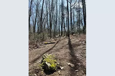 1626 Black Mountain Road, Pilot Mountain, NC 27041 - Photo 47