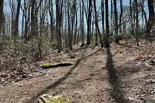 1626 Black Mountain Rd, Pilot Mountain, NC 27041 - Photo 47