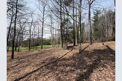 Lot 28 Greenstreet Drive, Traphill, NC 28685 - Photo 11