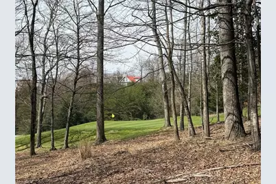 Lot 28 Greenstreet Drive, Traphill, NC 28685 - Photo 5